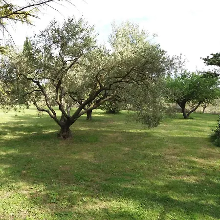 Mas De La Cabrette * Aramon