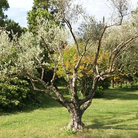 Alojamento de Acomodação e Pequeno-almoço Mas De La Cabrette Aramon